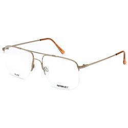   Flexon AUTOFLEX 17 szemüvegkeret GEP arany / Clear lencsék Unisex férfi női