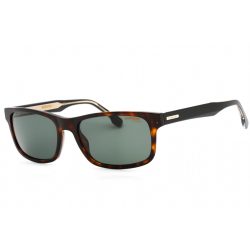 Carrera 299/S napszemüveg barna / zöld férfi