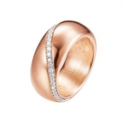   Esprit Collection Női gyűrű ezüst rózsa Danae ELRG92308B180-1